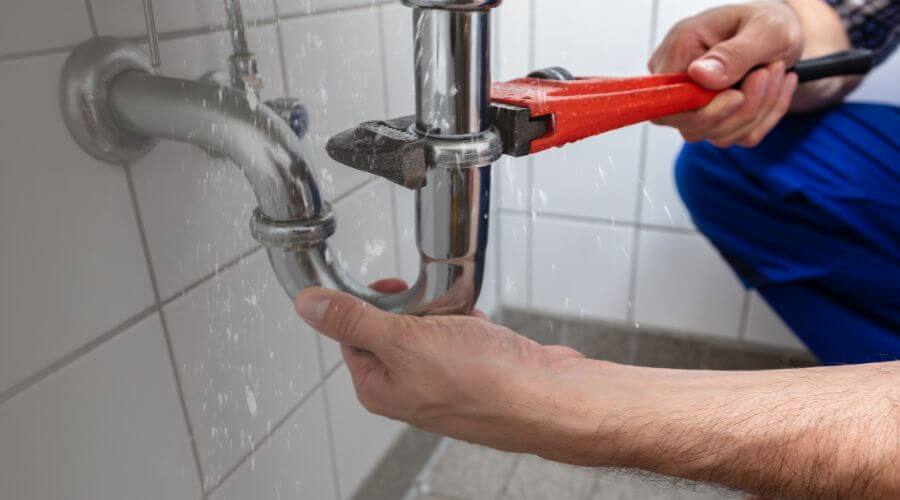Professional Leak Detection services in Starbuck, MN